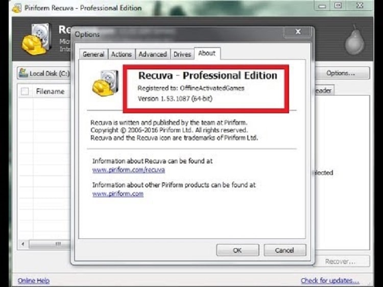 Recuva Professional 1.53.2096 download the new version for windows